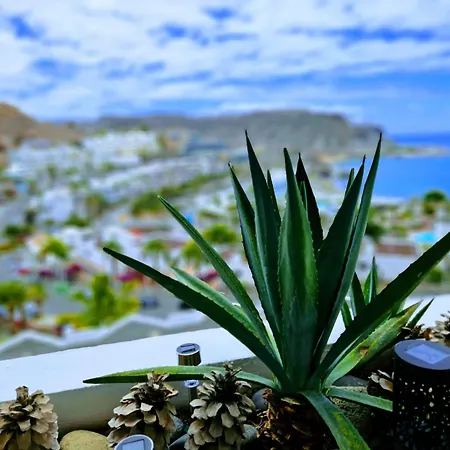 Flor Ocean View
